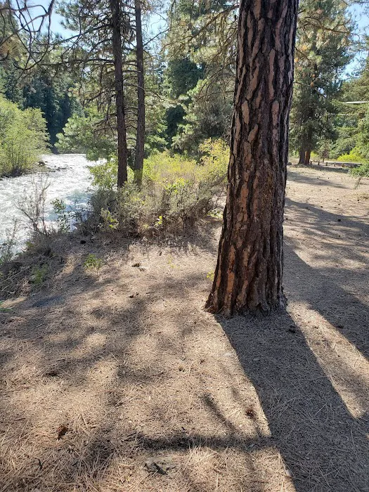 Hause Creek Campground Picture 1