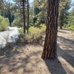 Hause Creek Campground