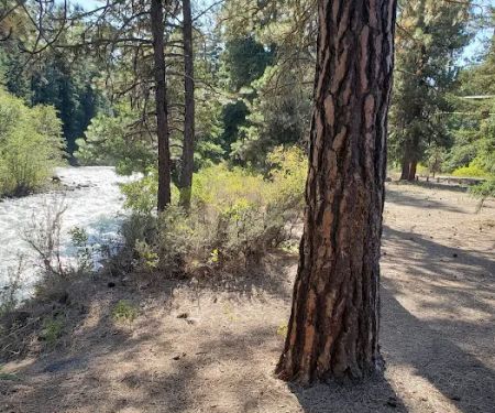 Hause Creek Campground