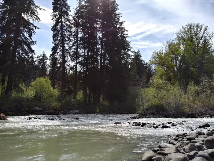 Shady Acres Picture 2