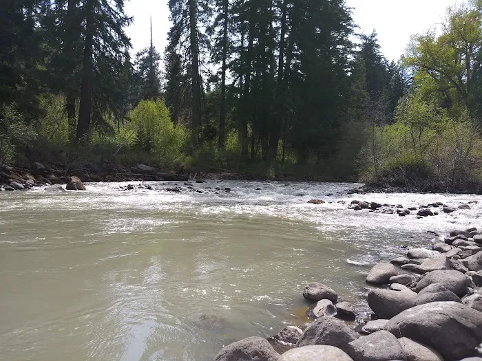 Shady Acres Picture 1