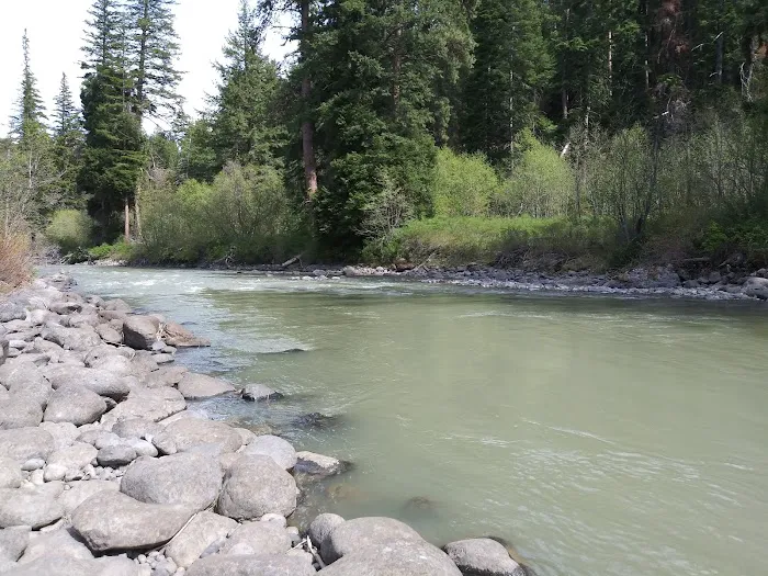 Shady Acres Picture 3