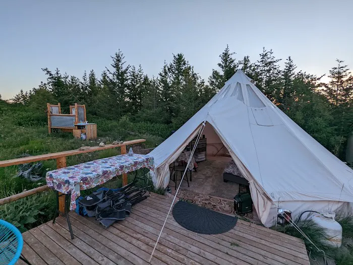 White Aspen Camping Picture 2