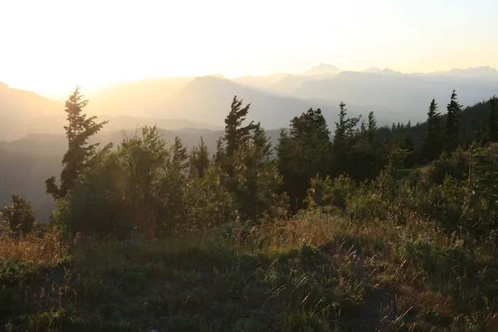 White Aspen Camping Picture 10