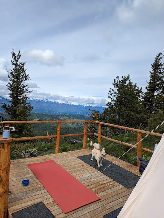 White Aspen Camping Picture 4