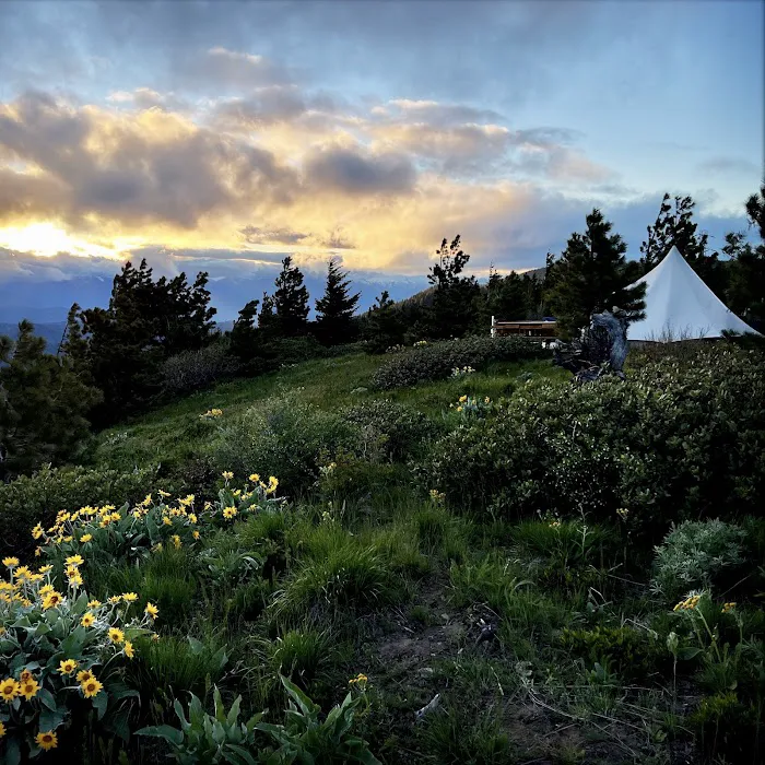 White Aspen Camping Picture 6