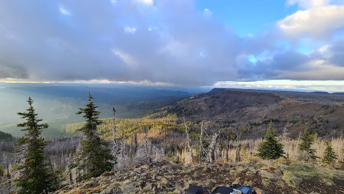 Lion Rock Spring Campground Picture 1