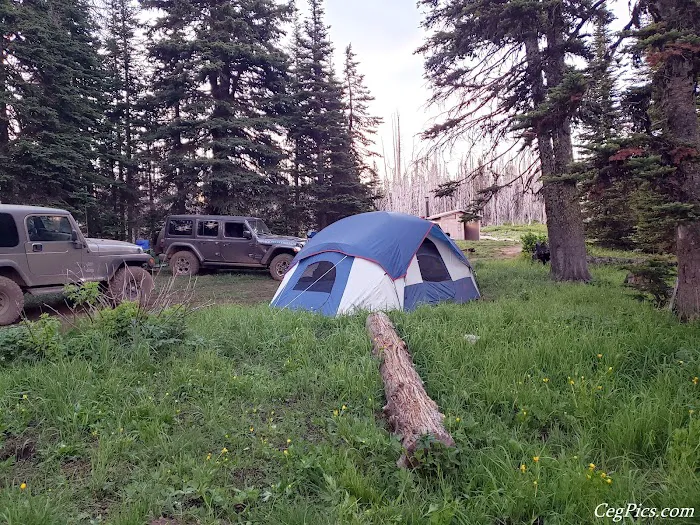 Lion Rock Spring Campground Picture 4