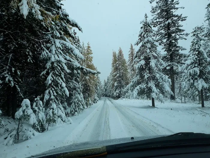 Lion Rock Spring Campground Picture 6