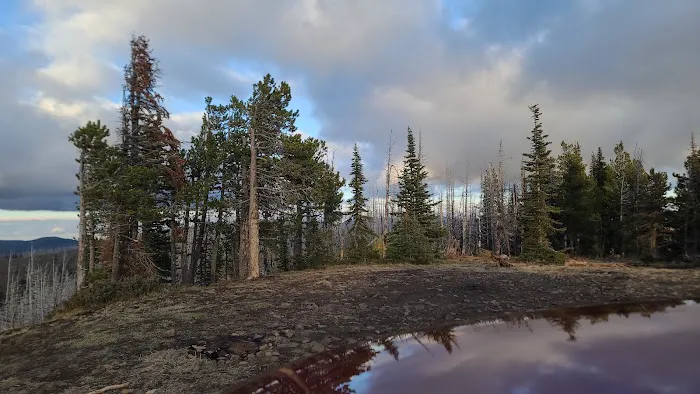 Lion Rock Spring Campground Picture 10