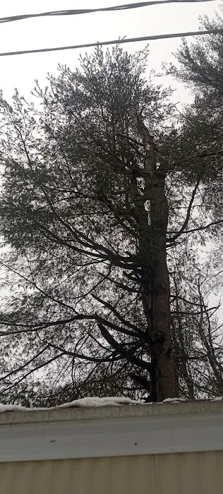 White Pines MHC Picture 5