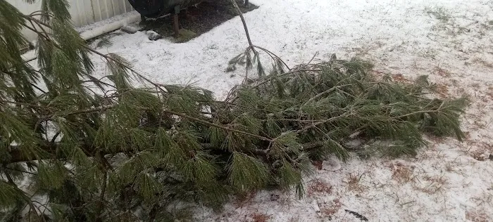 White Pines MHC Picture 6