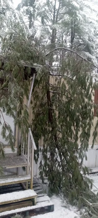 White Pines MHC Picture 2