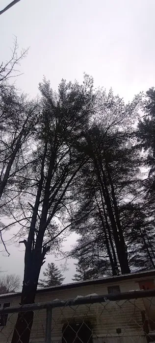 White Pines MHC Picture 7