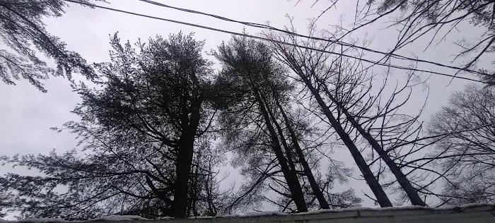 White Pines MHC Picture 10