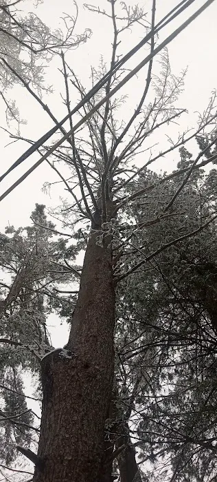 White Pines MHC Picture 8