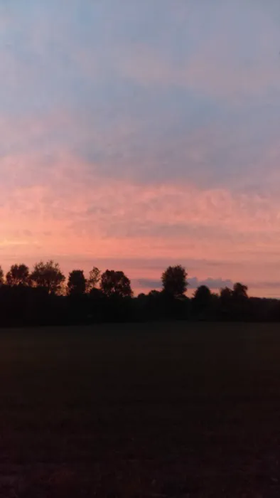 Northway Mobile Home Community Picture 1