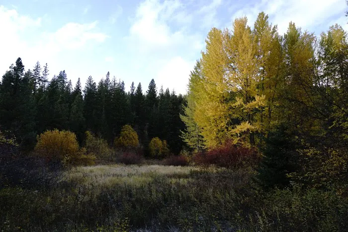 Camp CAMREC Picture 2