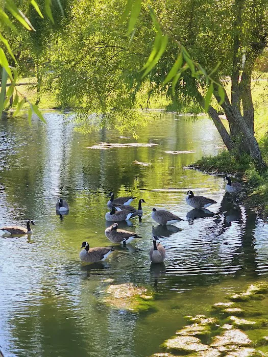 Grande Woods North Picture 6