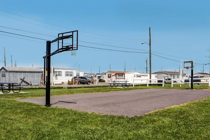 Shawcrest Community and Marina Picture 2