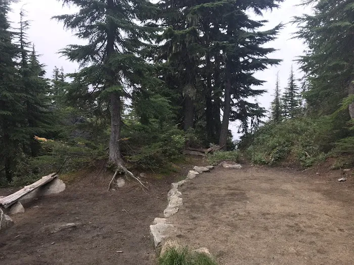 Thornton Lake Campground Picture 10