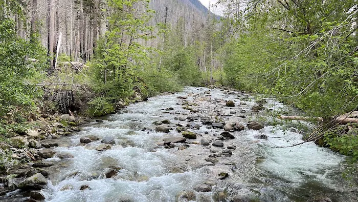 Newhalem Creek Campground Picture 2