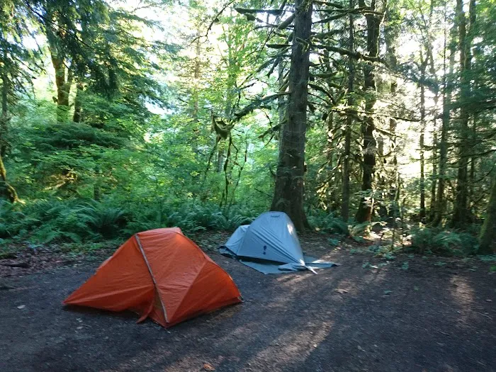 Goodell Creek Campground Picture 4