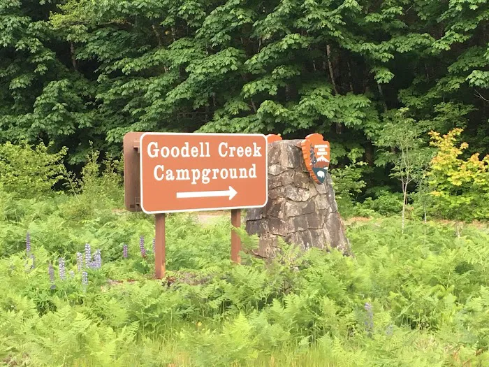 Goodell Creek Campground Picture 3
