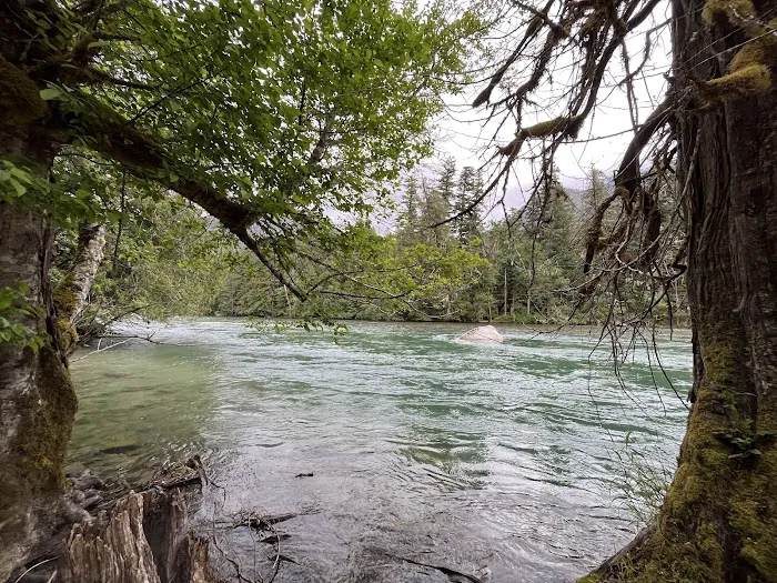 Goodell Creek Campground Picture 7