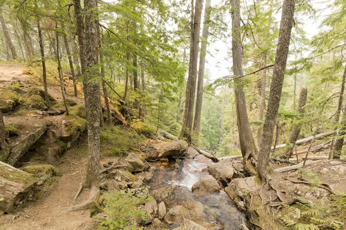 Goodell Creek Campground Picture 10