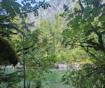 Lower Goodell Group Campground