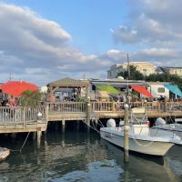 Holgate RV park and boat Basin ico