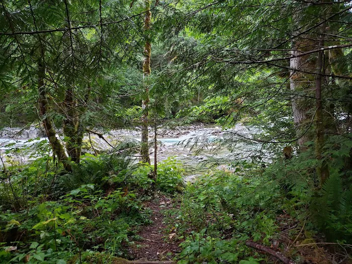 Upper Goodell Group Campground Picture 1