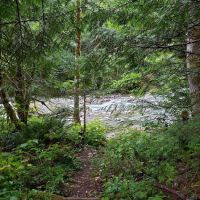 Upper Goodell Group Campground ico