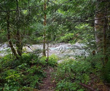 Upper Goodell Group Campground