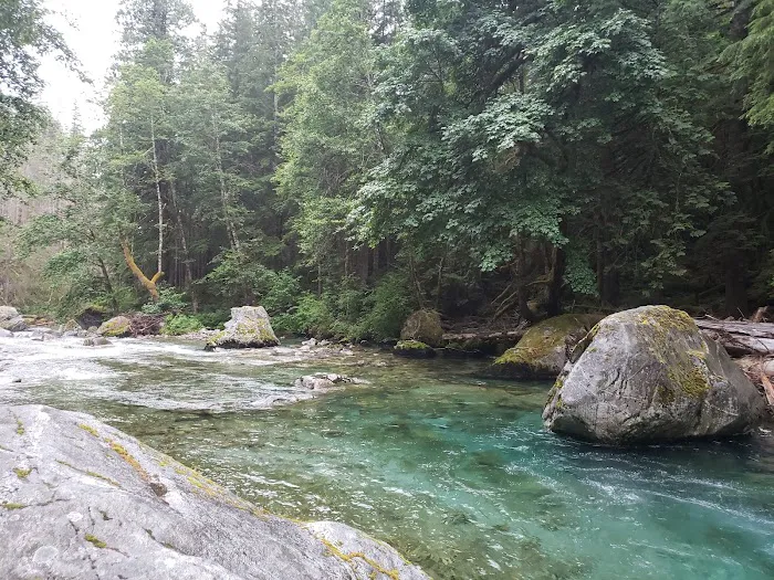 Upper Goodell Group Campground Picture 2