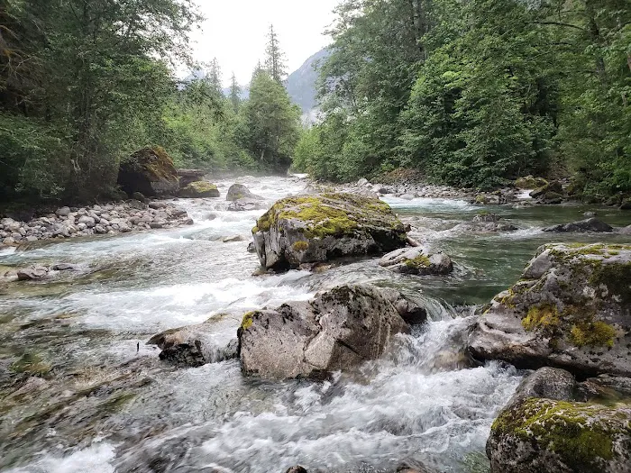 Upper Goodell Group Campground Picture 4