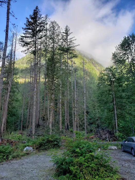 Upper Goodell Group Campground Picture 5