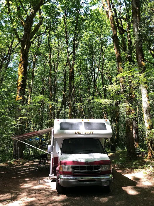 Upper Goodell Group Campground Picture 10