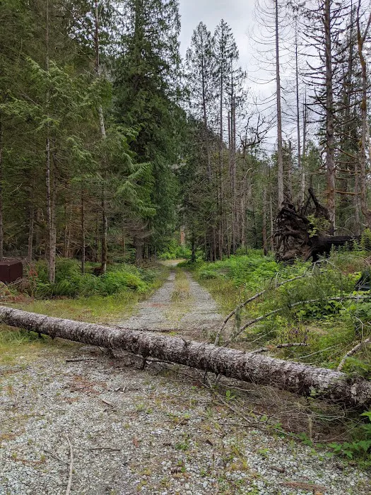 Upper Goodell Group Campground Picture 9