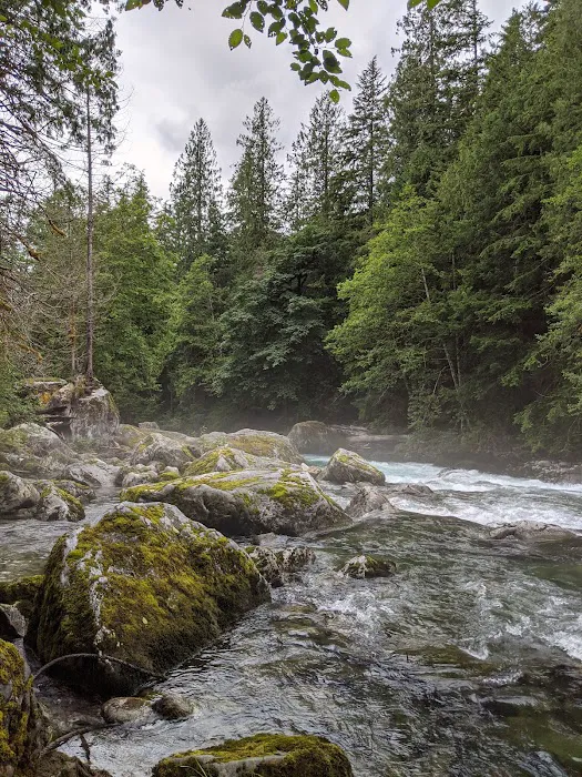 Upper Goodell Group Campground Picture 6