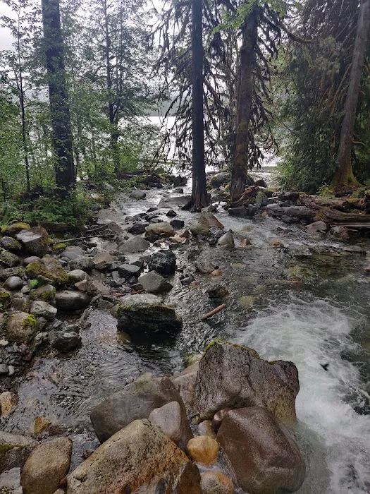 Anderson Point Picture 8