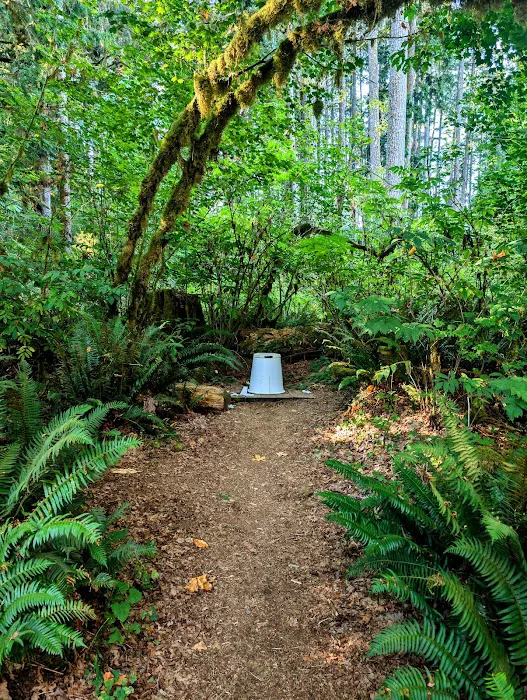 Anderson Point Picture 10