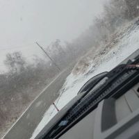 Laurel Run Estates ico