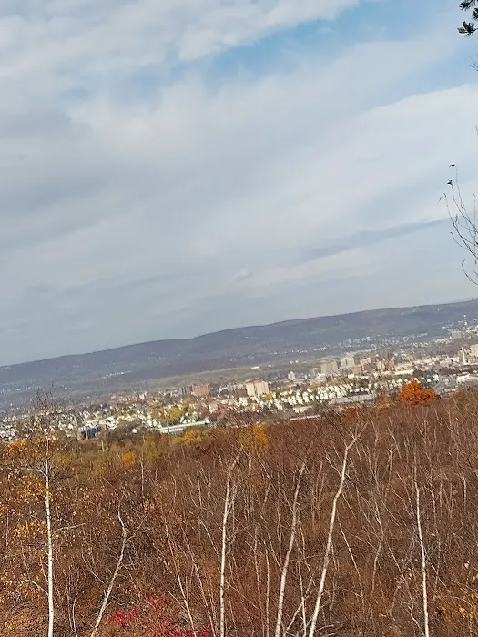 Laurel Run Estates Picture 7