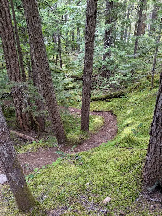 Junction Campground Picture 4