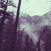 Tricouni Campground ico