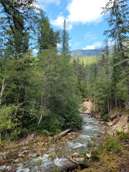 Tricouni Campground Picture 5