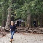 Harlequin Campground