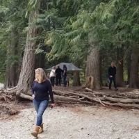 Harlequin Campground ico